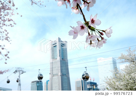 桜咲く 都市風景 桜咲く 都市風景 99576723