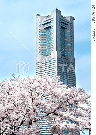 桜咲く　都市風景 99576724