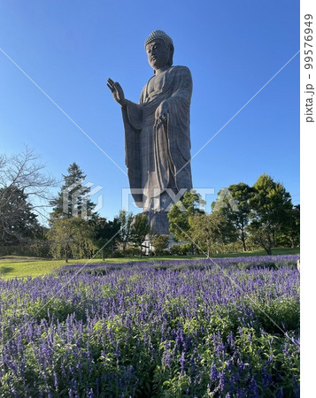 牛久大仏 牛久大仏 99576949