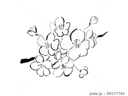 桜の花の手描き和風ベクターイラスト 99577784