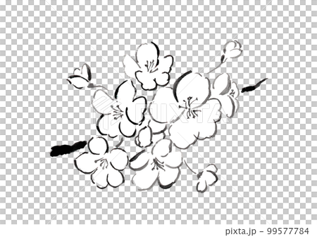 桜の花の手描き和風ベクターイラスト 99577784