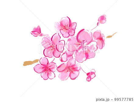 桜の花の手描き和風ベクターイラスト 99577785