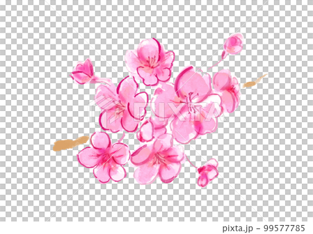 桜の花の手描き和風ベクターイラスト 99577785