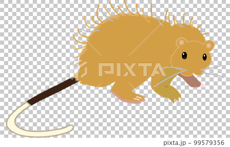 Creatures of the world natural heritage island Worley rat soft tone 99579356