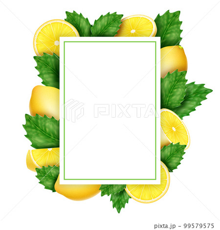 Lemon border, fruit background, flower frame. Corner with tree branch and green leaves, realistic citrus lemonade, herb invitation, greeting card. Summer food. Vector banner or poster template 99579575