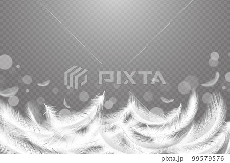 Soft feather background, smooth fluff. Real falling weightless bird plumage for light pillow banner, beauty air flight. Transparent backdrop 3d elements. Vector realistic design 99579576