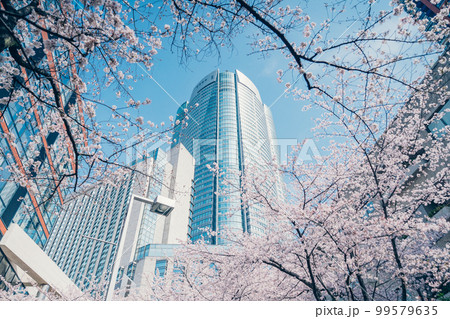 【東京都】六本木さくら坂から眺める六本木ヒルズ 99579635