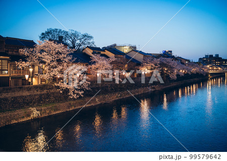 夕暮れ時の主計町茶屋街と浅野川 桜のライトアップ【金沢市】 夕暮れ時の主計町茶屋街と浅野川 桜のライトアップ【金沢市】 99579642