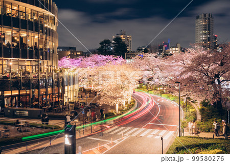 東京ミッドタウンと夜桜のライトアップ【港区・赤坂】 99580276