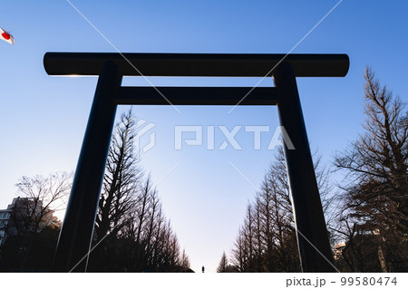 靖国神社大鳥居と銀杏並木の参道 99580474