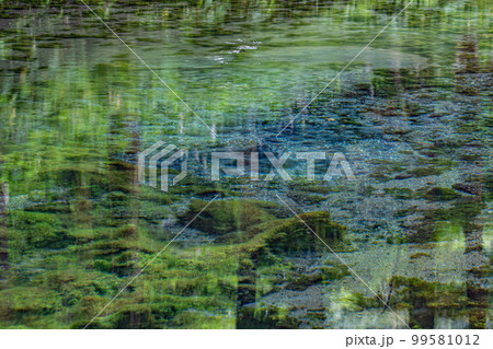 白川水源 白川水源 99581012