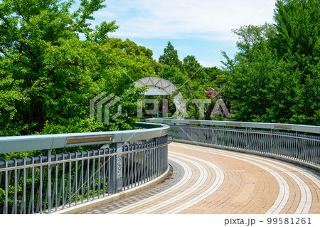 青い目の人形「ポーリンちゃん」に因んだポーリン橋(神奈川県横浜市) 青い目の人形「ポーリンちゃん」に因んだポーリン橋(神奈川県横浜市) 99581261