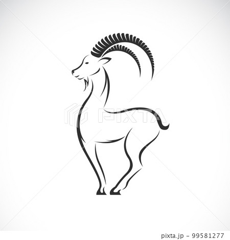 Vector of goat design on white background. Easy editable layered vector illustration. Wild animals. 99581277