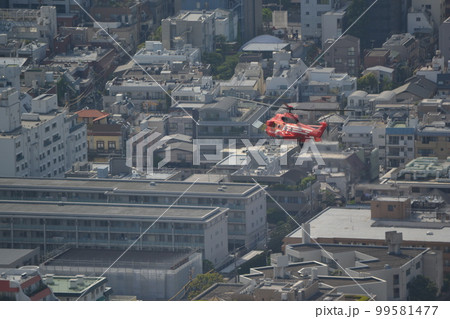 東京 東京 99581477