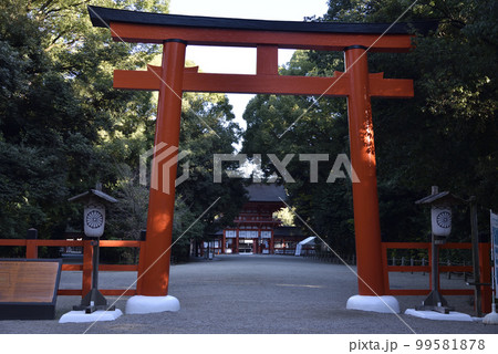 鳥居と楼門　下鴨神社 99581878