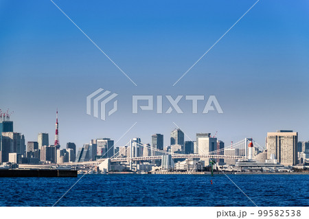 城南島海浜公園から見るレインボーブリッジ 城南島海浜公園から見るレインボーブリッジ 99582538