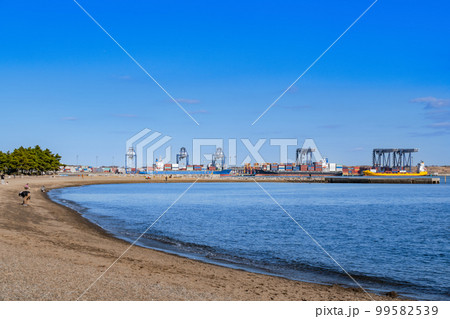 城南島海浜公園つばさ浜とガントリークレーン 城南島海浜公園つばさ浜とガントリークレーン 99582539