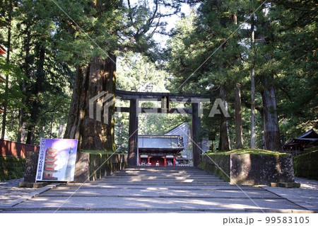 日光市　日光東照宮の参道 99583105