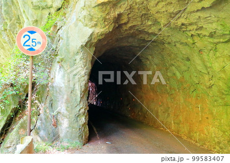 岡山県 素掘りの羽山第二トンネル 岡山県 素掘りの羽山第二トンネル 99583407