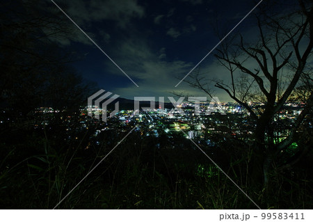 日本の夜景100選　織姫公園からの足利市街夜景 99583411