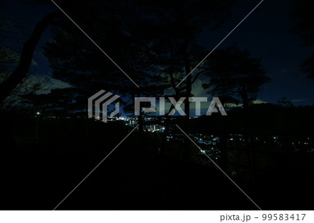 日本の夜景100選 織姫公園からの足利市街夜景 日本の夜景100選 織姫公園からの足利市街夜景 99583417