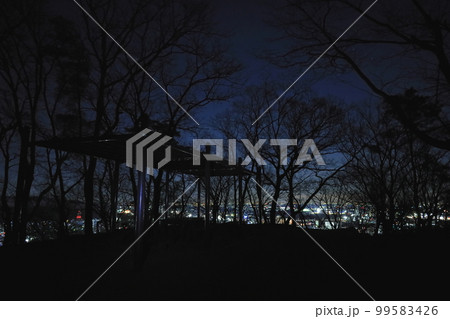 日本の夜景100選 織姫公園からの足利市街夜景 日本の夜景100選 織姫公園からの足利市街夜景 99583426