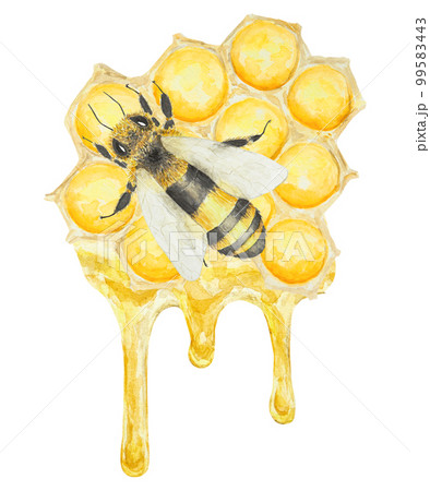 Watercolor hand drawn bee isolated on white background 99583443