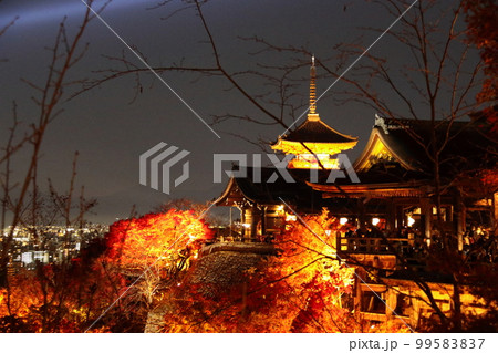 清水寺 清水寺 99583837