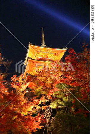 清水寺 清水寺 99583839
