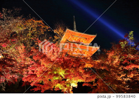 清水寺 清水寺 99583840