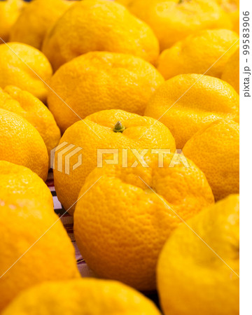 Yuzu fruits on a table Yuzu fruits on a table 99583906