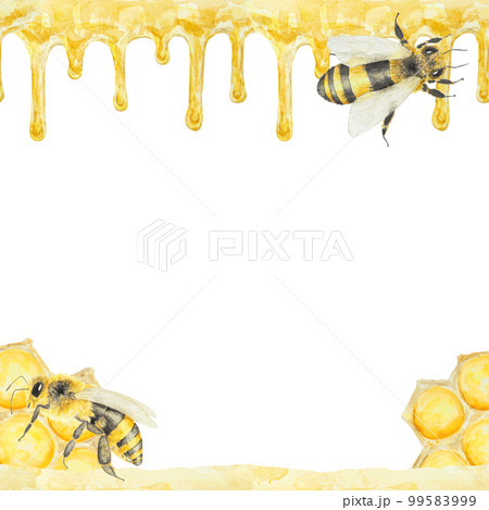 Watercolor hand drawn bees and honey isolated on white background 99583999