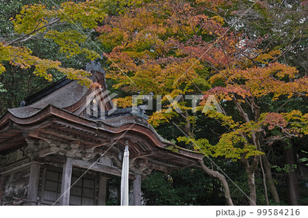 観心寺 訶梨帝母天堂 河内長野 大阪 観心寺 訶梨帝母天堂 河内長野 大阪 99584216