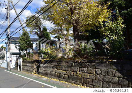 鎌倉・和田塚 99586182