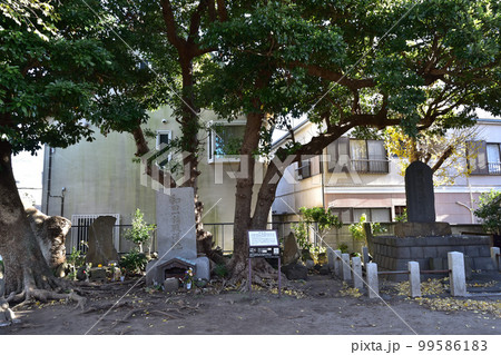 鎌倉・和田塚 99586183