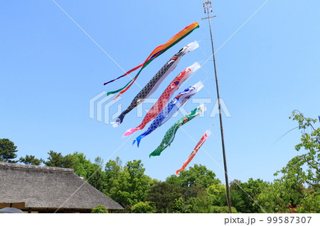 鯉のぼり 端午の節句 皐月の空 青空に泳ぐ鯉のぼり 鯉のぼり 端午の節句 皐月の空 青空に泳ぐ鯉のぼり 99587307
