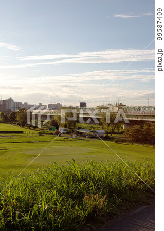 江戸川 新葛飾橋 周辺の風景 江戸川 新葛飾橋 周辺の風景 99587409