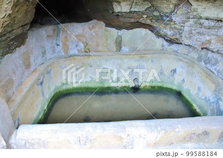 津堅島 ホートゥガー 津堅島 ホートゥガー 99588184