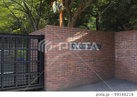 秋山周辺の風景（小学校前） 99588218