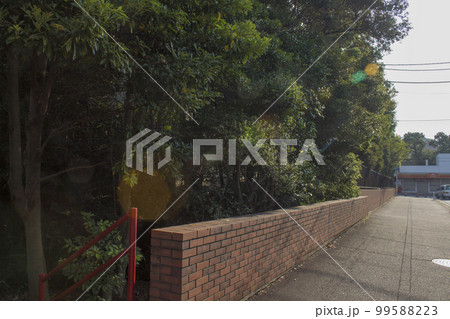 秋山周辺の風景(小学校前) 秋山周辺の風景(小学校前) 99588223
