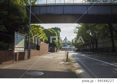 秋山周辺の風景(小学校前) 秋山周辺の風景(小学校前) 99588227