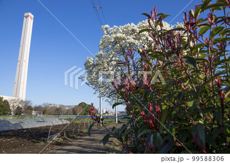 松戸市 新東京病院 周辺の風景 松戸市 新東京病院 周辺の風景 99588306