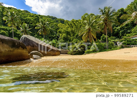Beautiful deserted and unspoilt beach surrounded by rainforest Beautiful deserted and unspoilt beach surrounded by rainforest 99589271