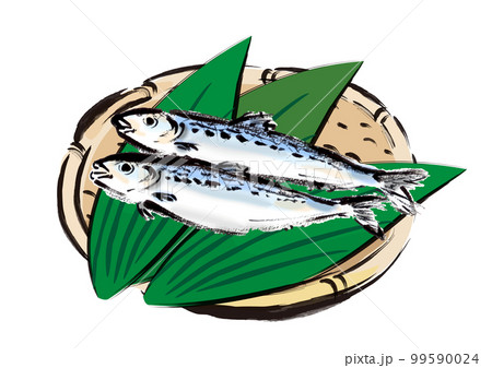 イカとイワシの手書きの画像 イワシの手描き和風イラスト和風素材のイラスト素材 [99590024] - PIXTA