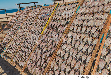 Traditional fish-drying on the beach of Nazare, Portugal 99590763