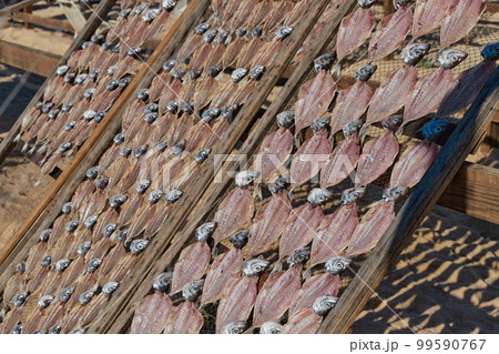 Traditional fish-drying on the beach of Nazare, Portugal 99590767
