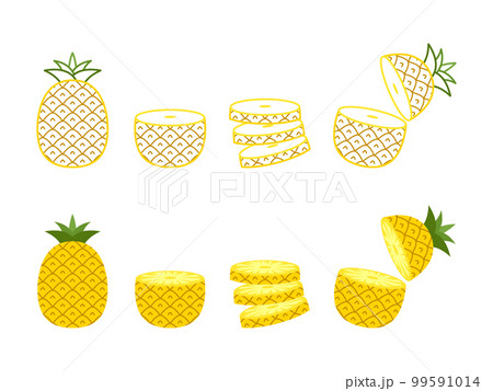 Pineapple collections set in flat style 99591014