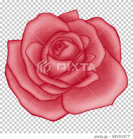 Red Rose Flowers Cute Romantic Watercolor Clipart. Paris In Love collection with rose flowers bouquet for romantic design element, love art, wedding watercolor illustration. Red Rose Flowers Cute Romantic Watercolor Clipart. Paris In Love collection with rose flowers bouquet for romantic design element, love art, wedding watercolor illustration. 99591877