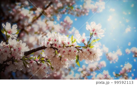 Floral flower spring abstract background of...のイラスト素材 [99592113] - PIXTA