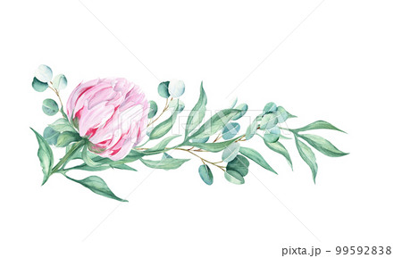 Watercolor pink peony and eucalyptus garland isolated on white background. Hand drawn botanical illustration. Can be used for wedding, birthday, save the date, greeting cards design. 99592838